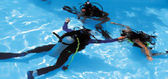 Sport, spel en opleiding. Snorkel- en duikvereniging Blue Divers - Eersel